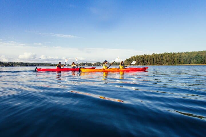 Small-group guided kayaking from Vaxholm in the Stockholm Archipelago — half-day sea kayaking experience.