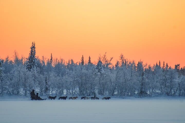 Sunrise Zen Husky Tour (10:00 to 13:00 - sitting on the sled)