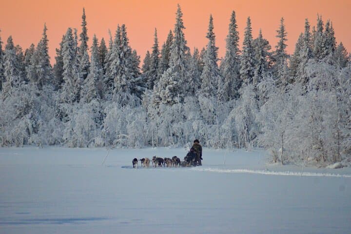 Sunrise Zen Husky Tour (10:00 to 13:00 - sitting on the sled)