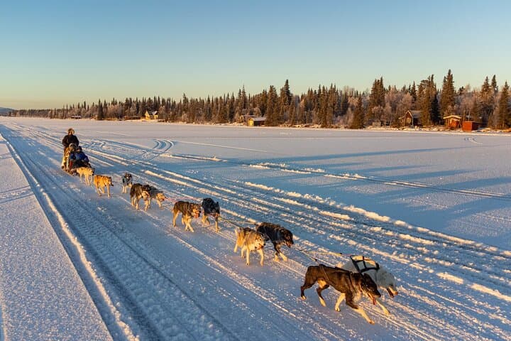 Sunrise Zen Husky Tour (10:00 to 13:00 - sitting on the sled)