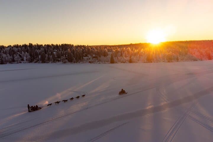 Sunrise Zen Husky Tour (10:00 to 13:00 - sitting on the sled)