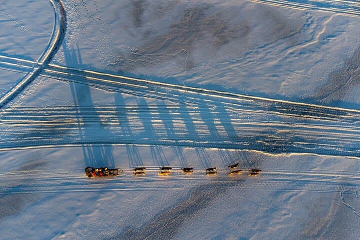Sunrise Zen Husky Tour (10:00 to 13:00 - sitting on the sled)