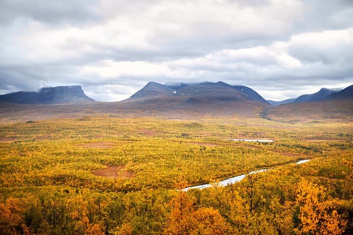 Discover Abisko Natioalpark : A Private Guided Nature Tour