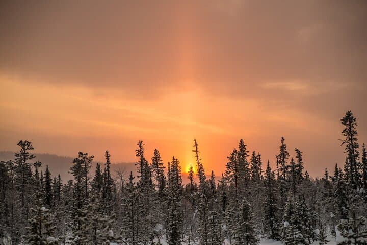 Snowshoe Winter Hike from Stockholm
