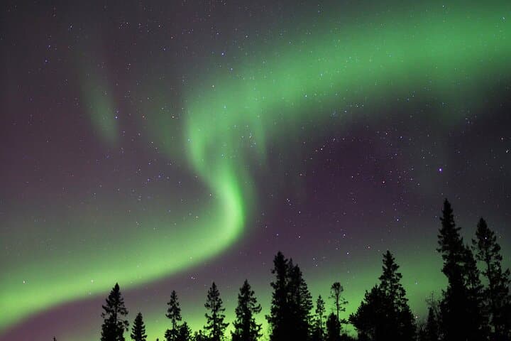 Luleå: Northern Lights tour by Car