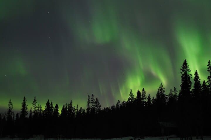 Luleå: Northern Lights tour by Car