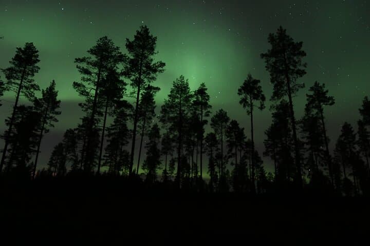 Luleå: Northern Lights tour by Car