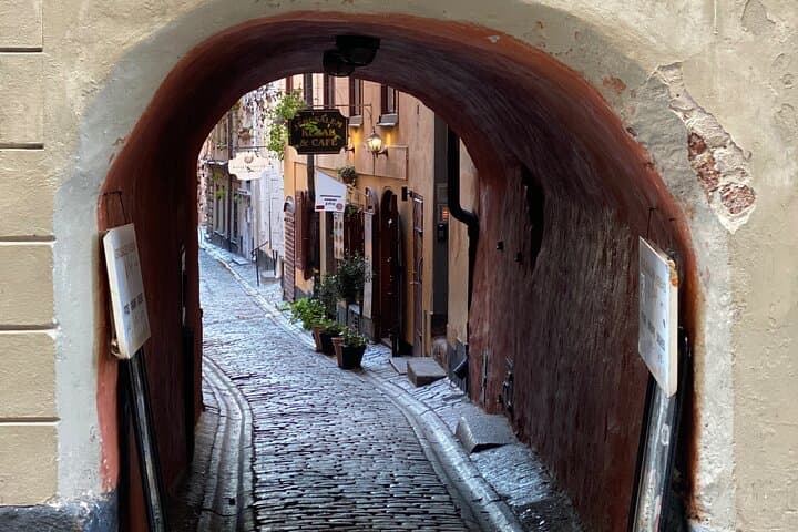 Gamla Stan Christmas Tour and Market Visit