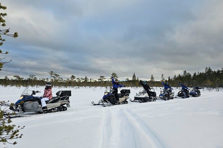 Snowmobile Safari Through Swedish Wilderness