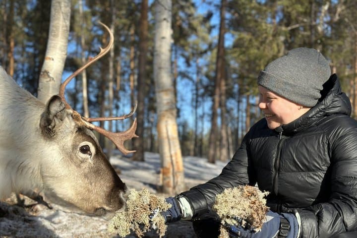 Jokkmokk: Reindeer Feeding Experience with Sami Guide
