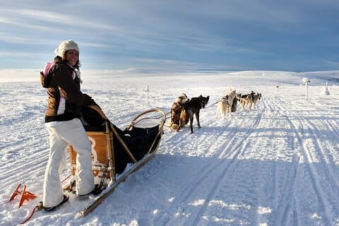 Overnight Tour with Dogsledding in Sälen