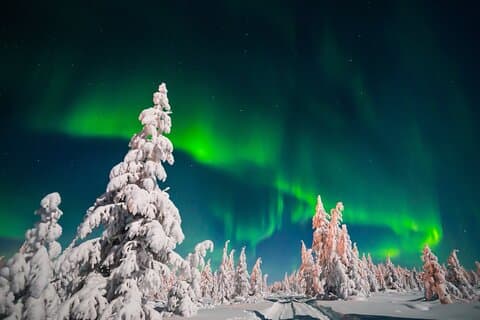 A Winter Journey in Lapland
