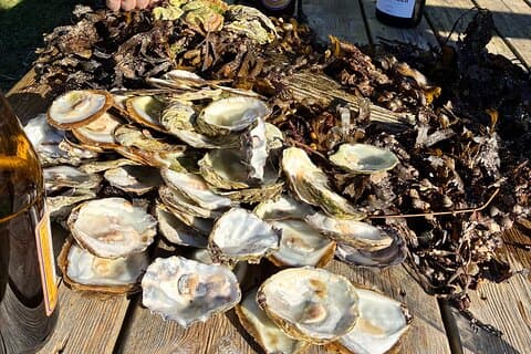 Oyster Tour Grebbestad Archipelago