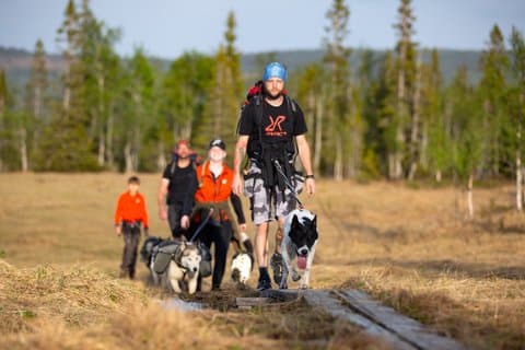 Nordic Husky Adventure Huskytrekking at Ansättenfjäll