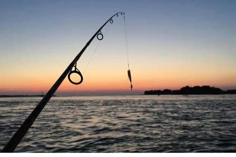 Fishing Activity in Fyrisan Uppsala with Local Guide