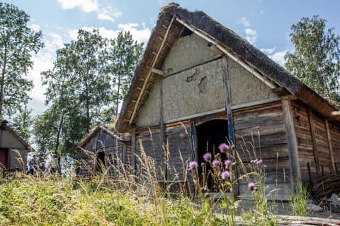 Experience Birka Viking City & Museum - Boat Tour from Stockholm