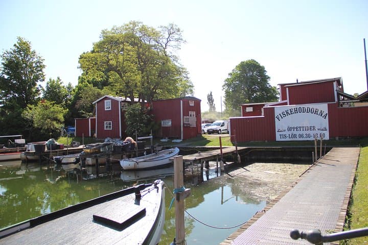 Green Malmö - Environment and Sustainability ( Private Tour)