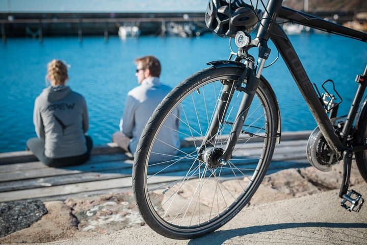 All around Oresund (Self-guided)