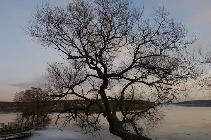 Sigtuna is right by the beautiful lakeside.