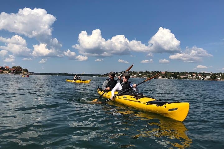1-Day Small-Group Stockholm Archipelago Kayak Tour