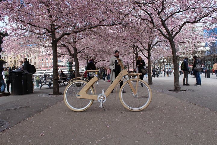 The Wooden Bicycle Tour in Stockholm