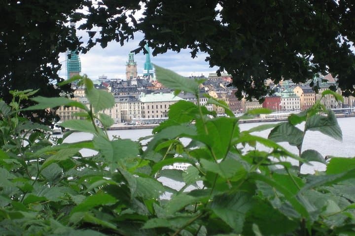 Gran Tour Stockholm all in 1