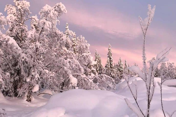 Afternoon Snowmobile Tour