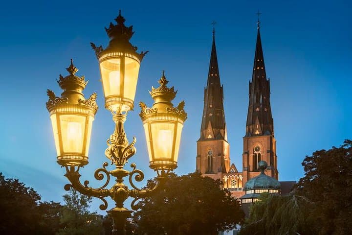 The Crown & The Crest: Uppsala Royal Legacy & Sigtuna’s Vikings