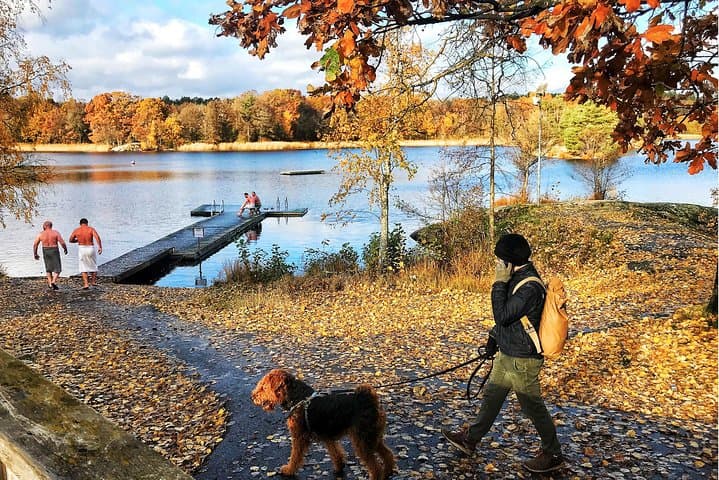 Stockholm Fire and Ice Tour! Dive into Swedish lifestyle!