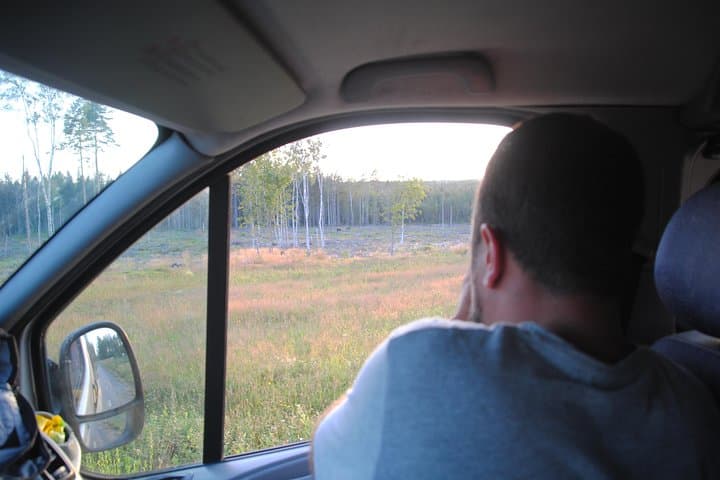 Moose safari in the wild Sweden Tiveden