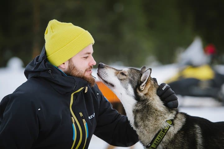 Dogsled Adventure Kiruna