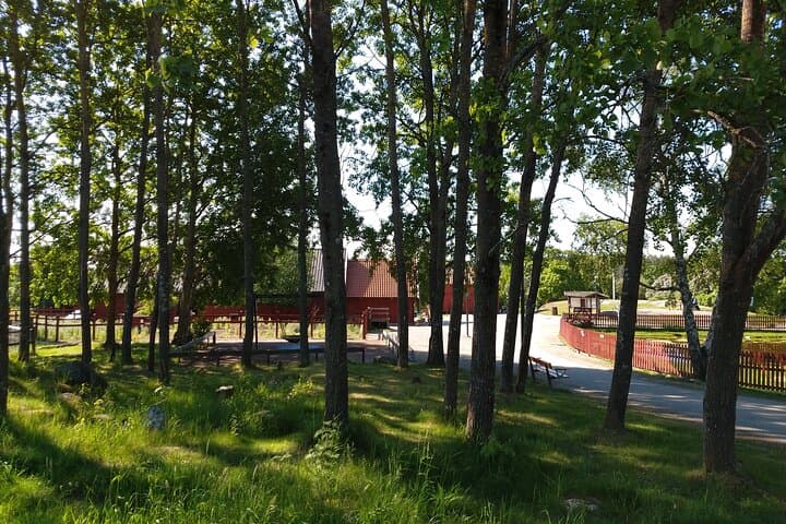 Private 1h tour of famous Old Uppsala mounds and mediveal church