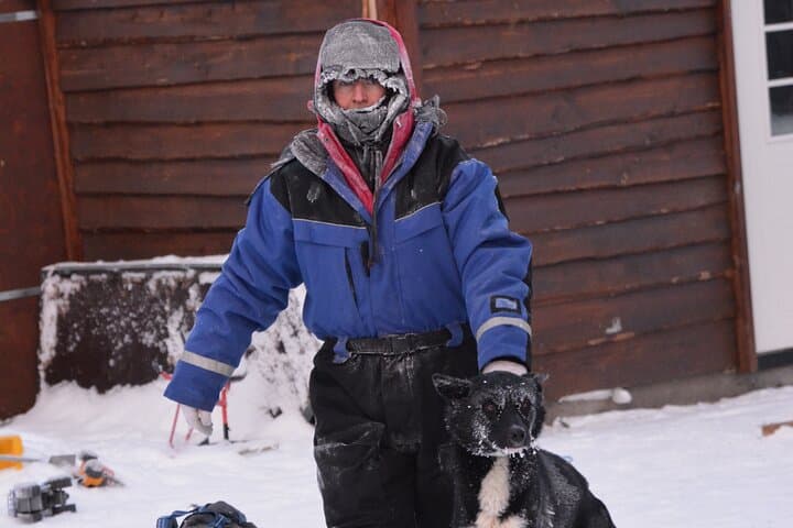 Husky Tour Sit and Drive Combo Tour from Kiruna