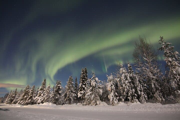 Guided Northern Lights Tour at Kiruna