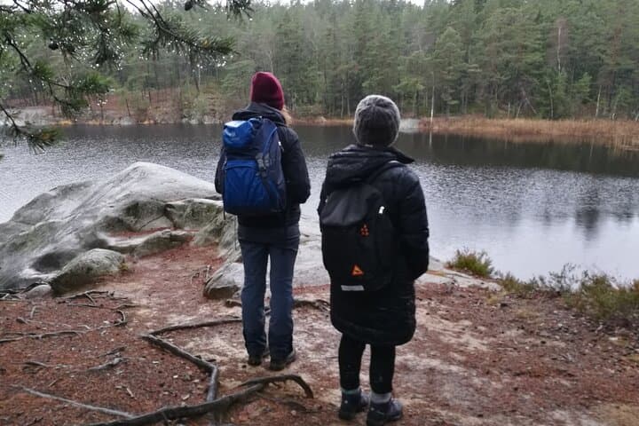 Evening Wildlife Safari with Campfire Dinner from Stockholm