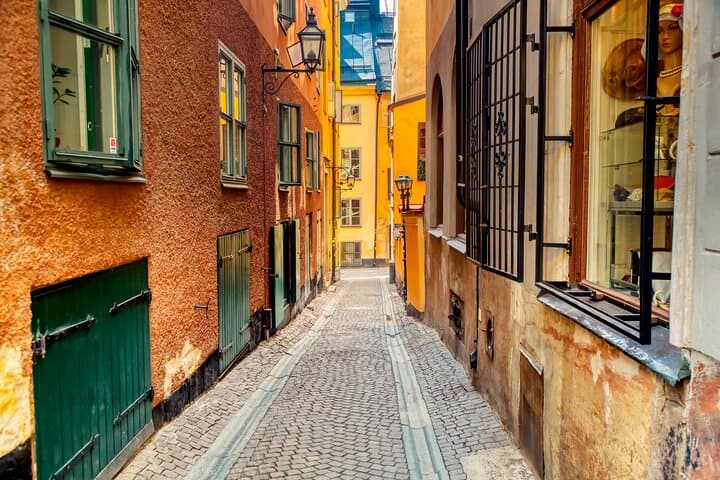 Stockholm: Private Sightseeing Tour and Food Tasting with local
