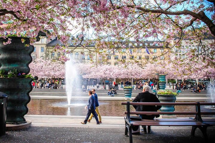 e-Scavenger hunt Stockholm: Explore the city at your own pace