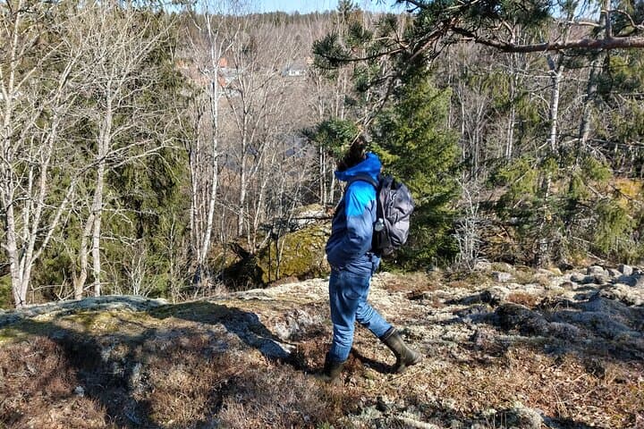 Private Viking tour by a lake + Swedish nature forest walk, 90min