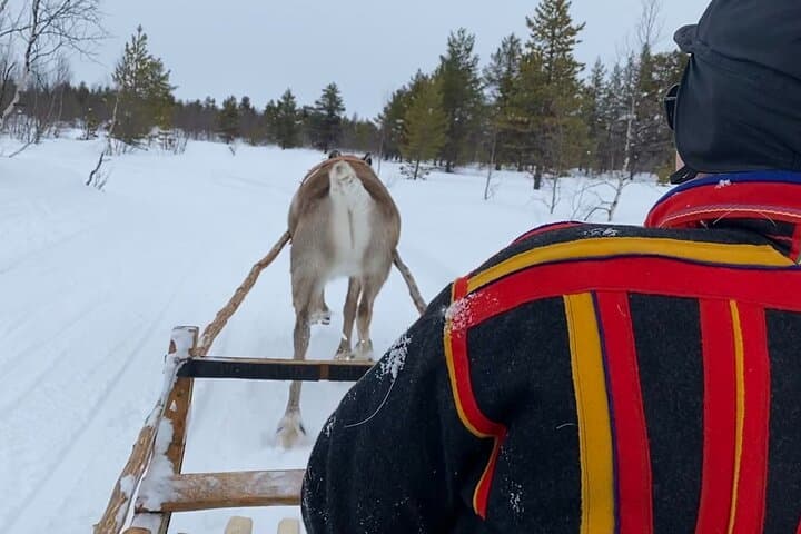 Reindeer sled