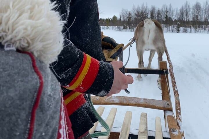 Full-Day Reindeer Tour with Pickup in Kiruna