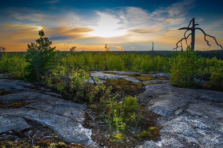 Survival Hike and tour of Tyresta National Park