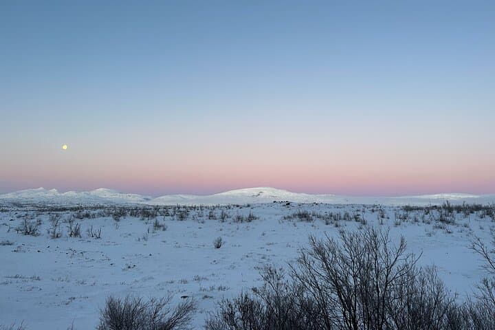 From Kiruna: Explore Abisko by Day