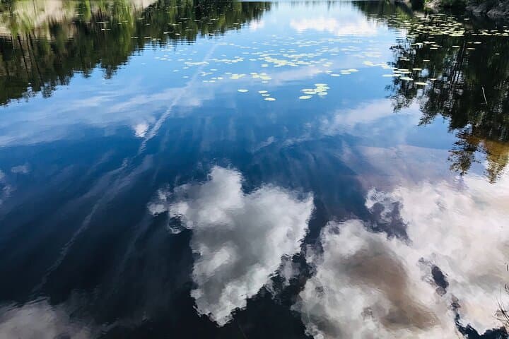 Forestbathing Slow Walking and Healing Spring Water, Stockholm