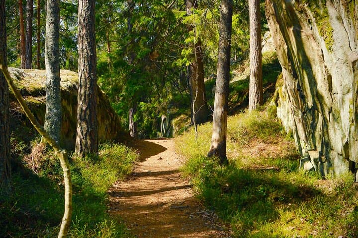 Forestbathing Slow Walking and Healing Spring Water, Stockholm