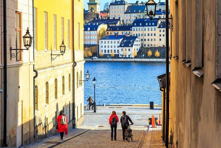 Stockholm by Yourself with English Chauffeur by Sedan or Minivan