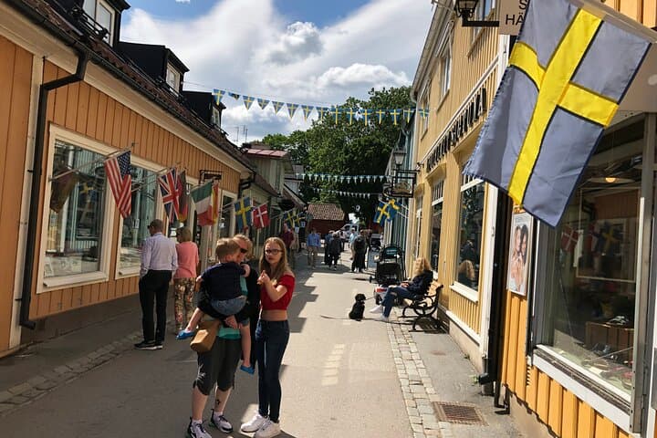 Viking History Small Group Tour from Stockholm: Half Day Including Sigtuna