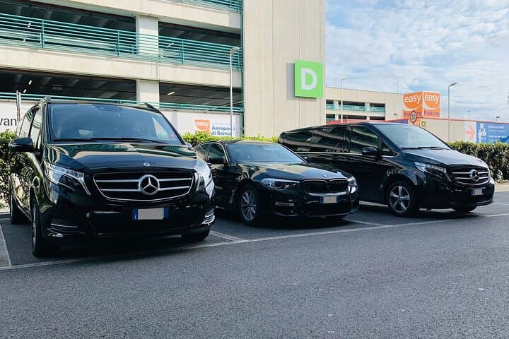 Goteborg Landvetter Airport (GOT) to Goteborg City - Arrival Private Transfer