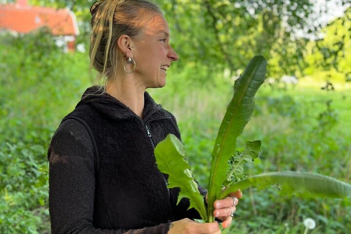 Karoline showing dandelion leaves