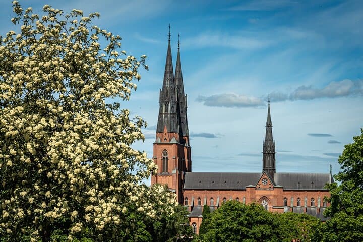 Private Medieval Heritage Tour in Uppsala