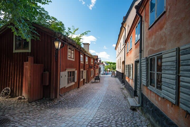 Skansen Stockholm Fast-Track Tickets, Private Tour, Transfer